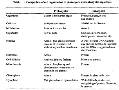 1962_prokaryotes and eukaryotes.png